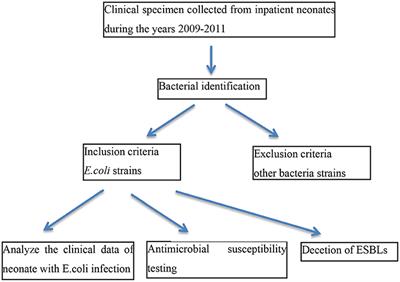 Antimicrobial Resistance Analysis of Clinical Escherichia coli Isolates in Neonatal Ward